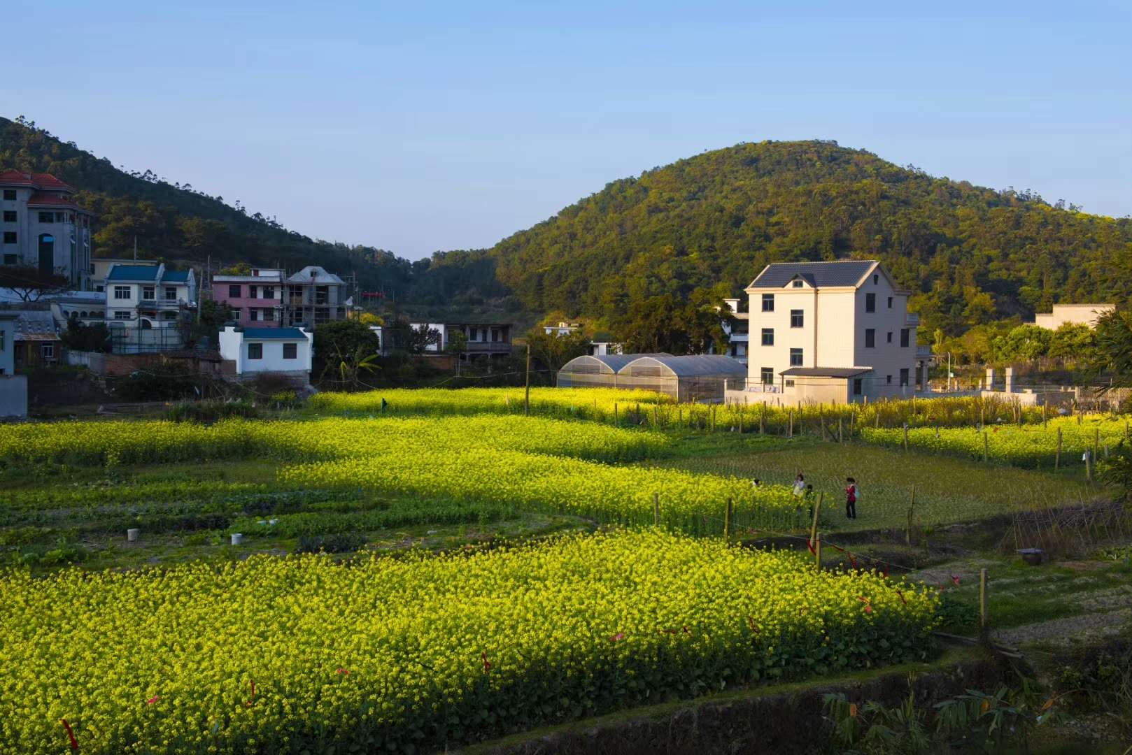 馬臺(tái)風(fēng)情