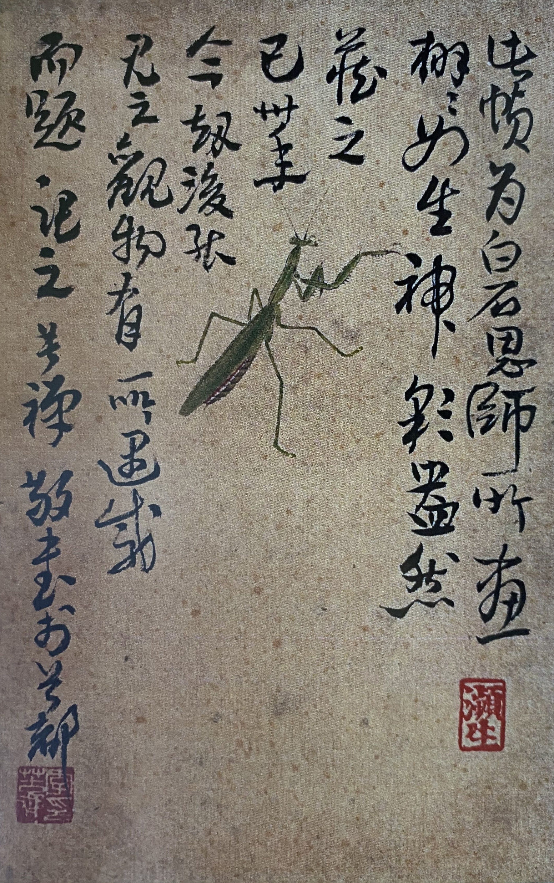 藝術(shù)來(lái)源于樸素生活