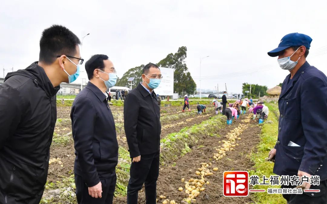 林寶金吳賢德走進田間與他們交流……