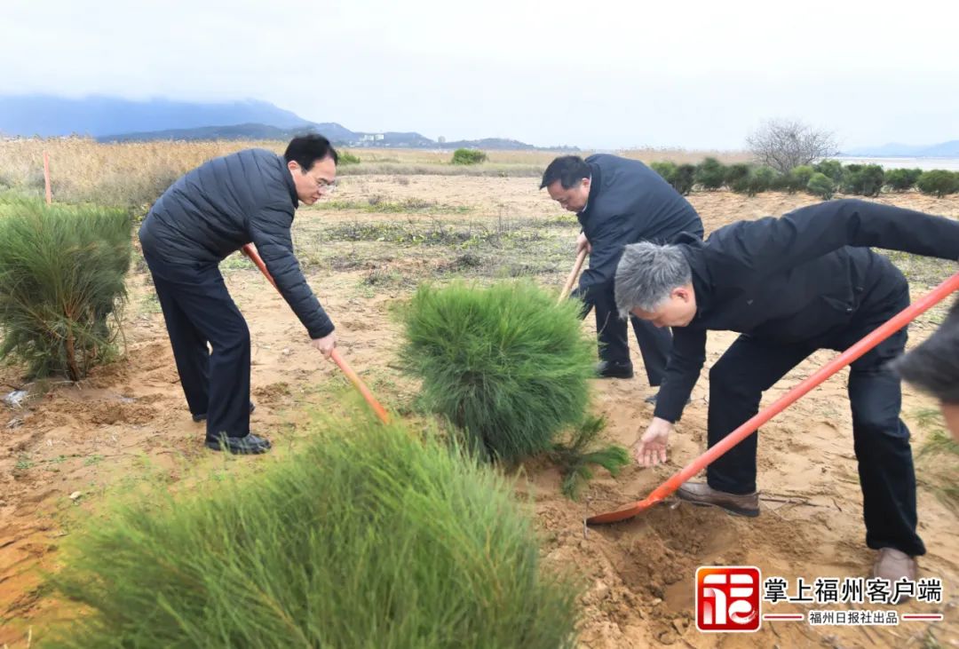 全力打造,！福州這里要成為國際知名濱海旅游勝地,！