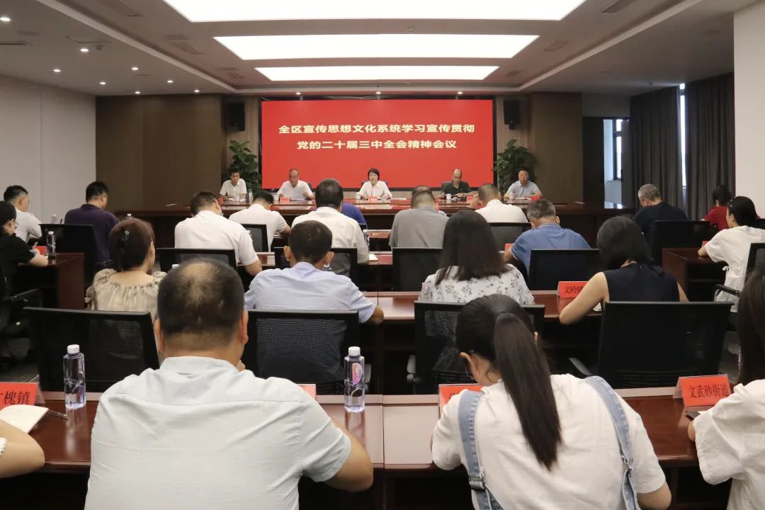 全區(qū)宣傳思想文化系統(tǒng)學(xué)習(xí)宣傳貫徹黨的二十屆三中全會精神會議召開