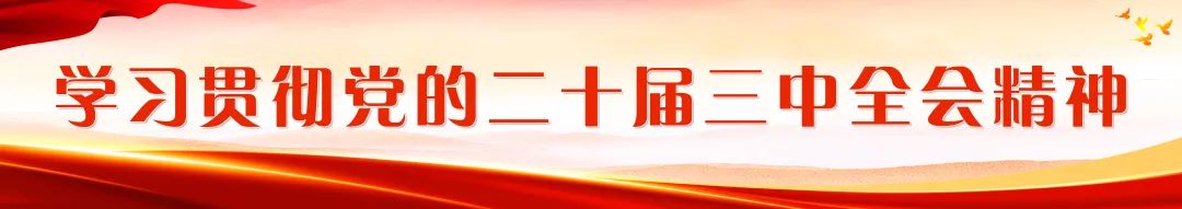 區(qū)政府黨組（擴大）會議和常務(wù)會議召開