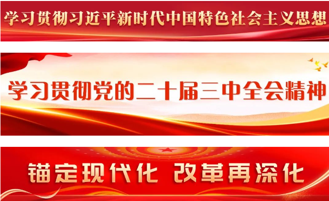 區(qū)政府黨組（擴大）會議和常務會議召開