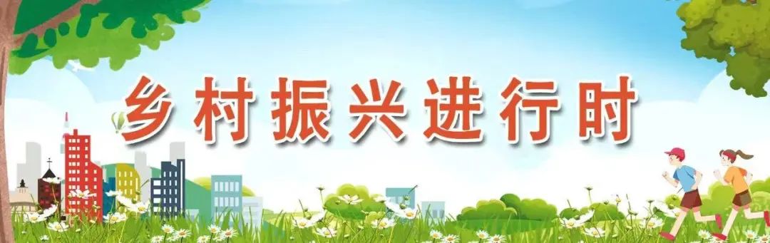 區(qū)領導調(diào)研民政和鄉(xiāng)村振興工作