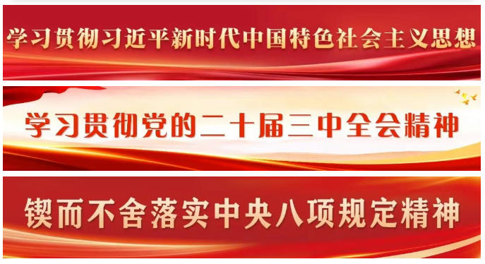 區(qū)政府黨組班子巡視整改專題民主生活會召開