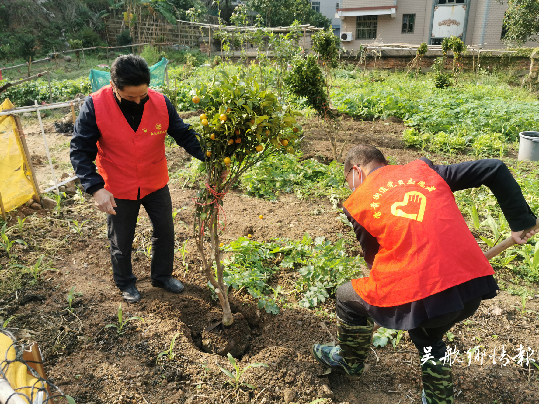 不負(fù)春光植樹忙 他們?yōu)殚L樂增添更多綠,！