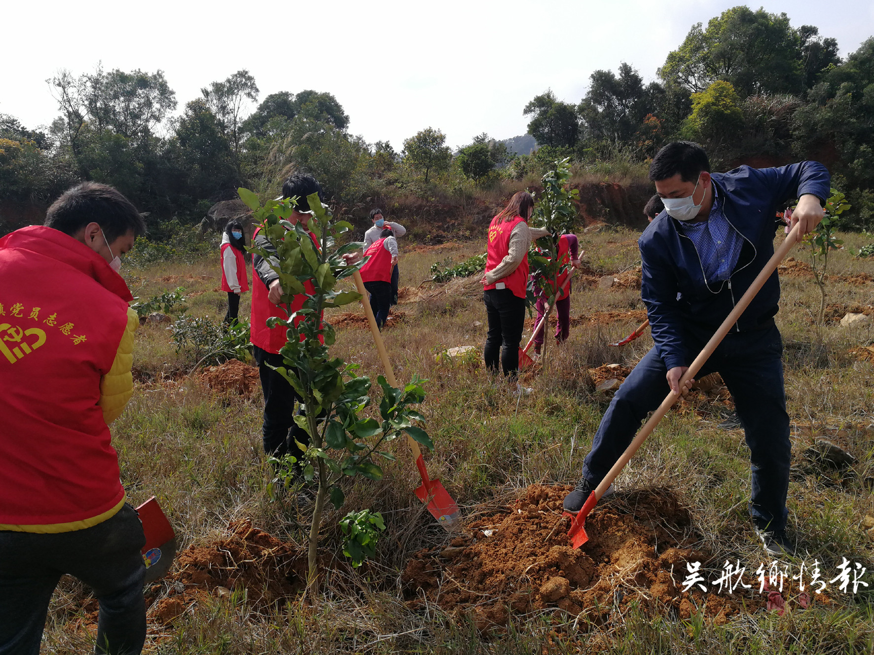 不負(fù)春光植樹忙 他們?yōu)殚L樂增添更多綠,！