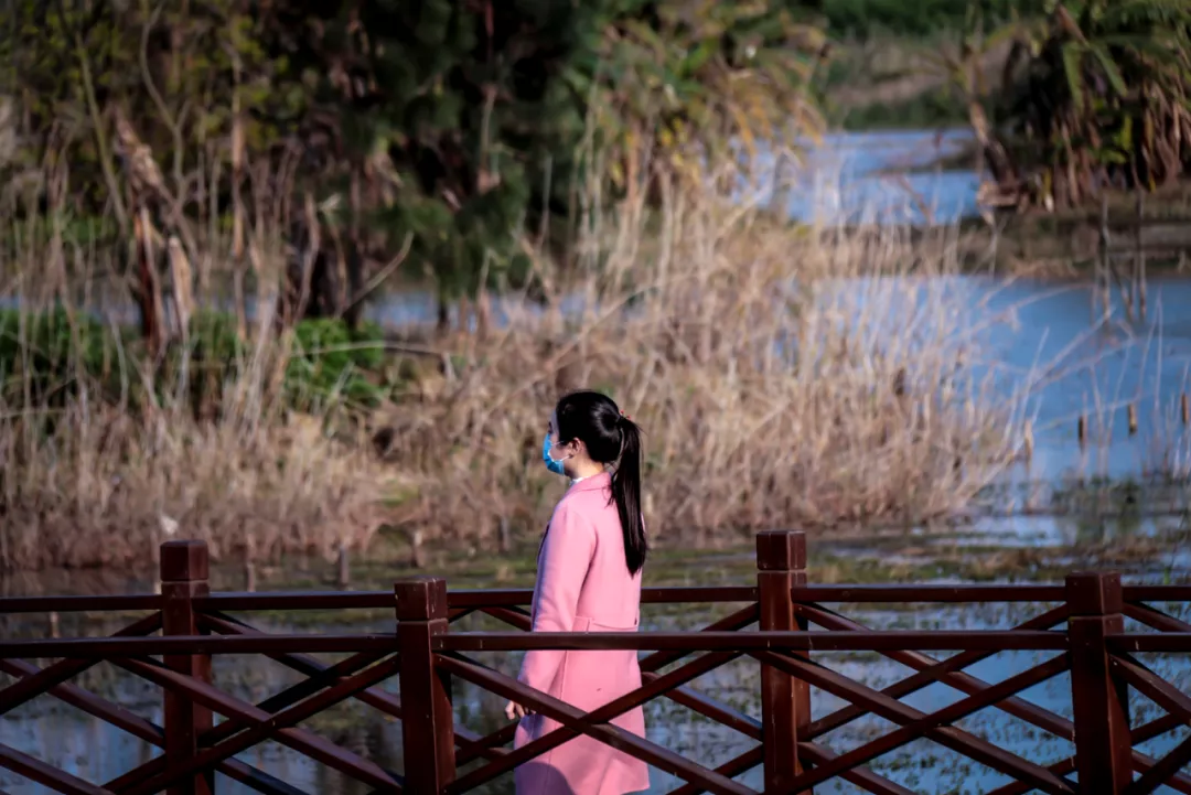 大自然的饋贈(zèng)，閩江河口國(guó)家濕地公園美如畫(huà),！