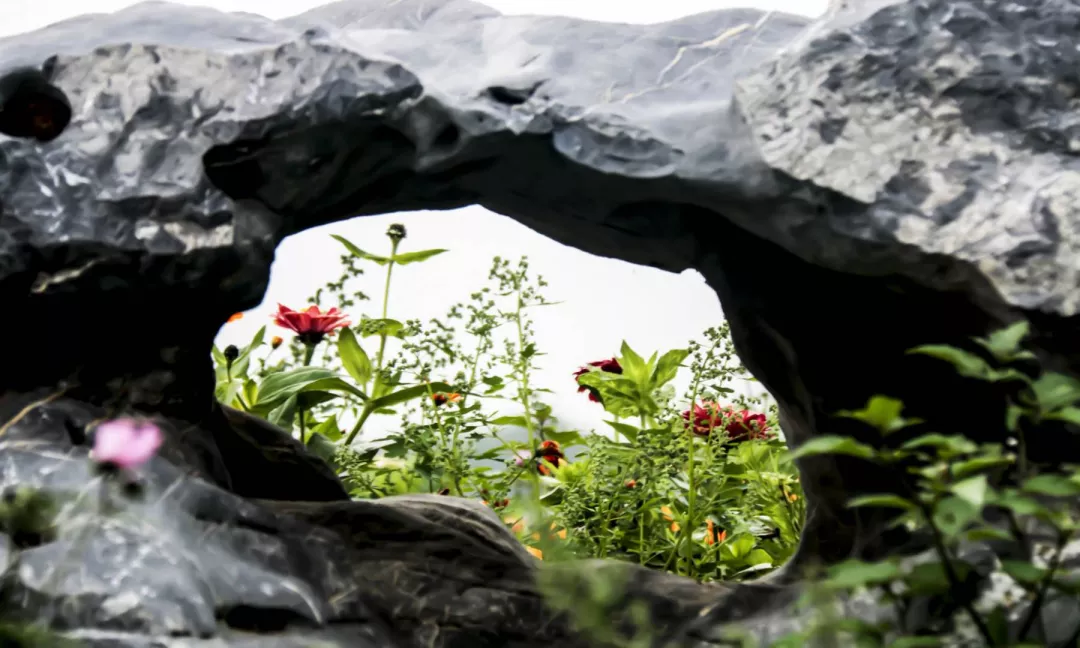 大自然的饋贈(zèng)，閩江河口國(guó)家濕地公園美如畫(huà),！