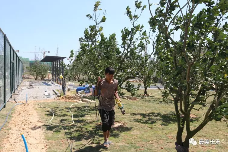 濱海體育公園預(yù)計(jì)年底竣工投用,！市民休閑又多了一個(gè)好去處,！