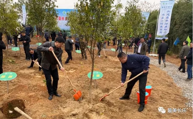 驕傲！我區(qū)這個村獲得“國家森林鄉(xiāng)村創(chuàng)建工作樣板村”榮譽(yù)