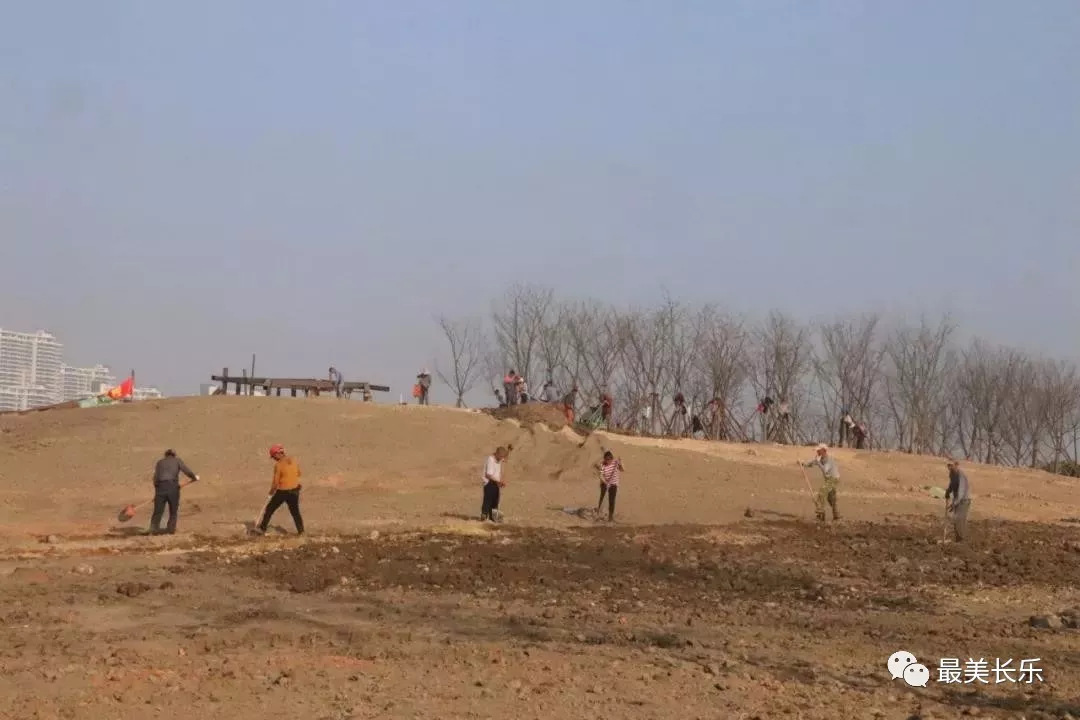 綠意滿滿,！東湖濕地公園植樹添新綠,！