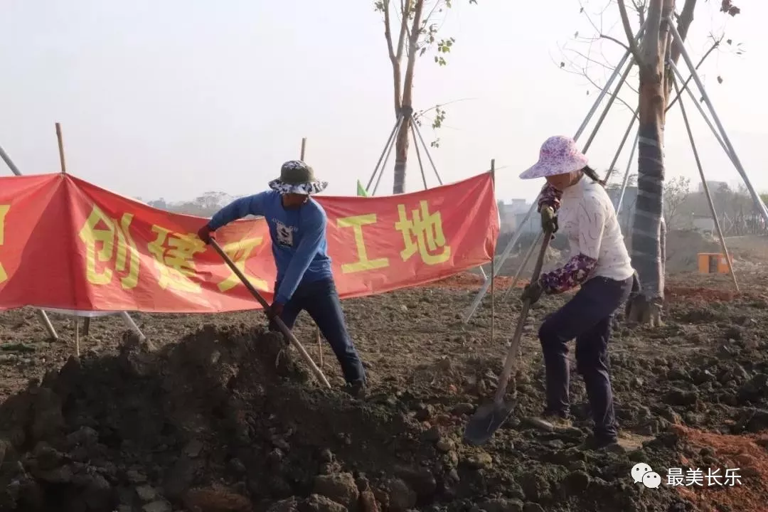 綠意滿滿,！東湖濕地公園植樹添新綠,！