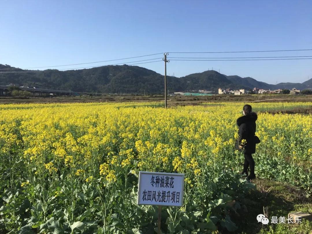 長樂：防疫春耕兩不誤 田間地頭春種忙