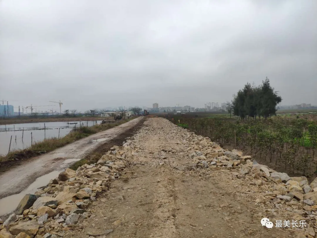 好消息,！濱海新城高速公路地鐵代建段控制性工程征遷工作取得新進展