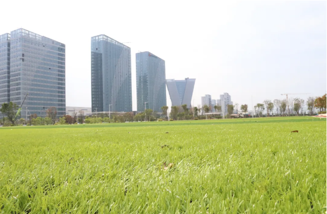 好消息,！長樂這個公園即將投用,，時間就在……