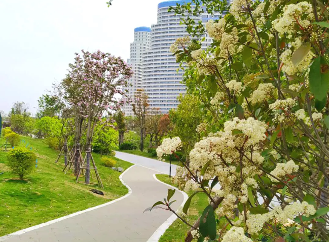 好消息！長樂這個公園即將投用,，時間就在……