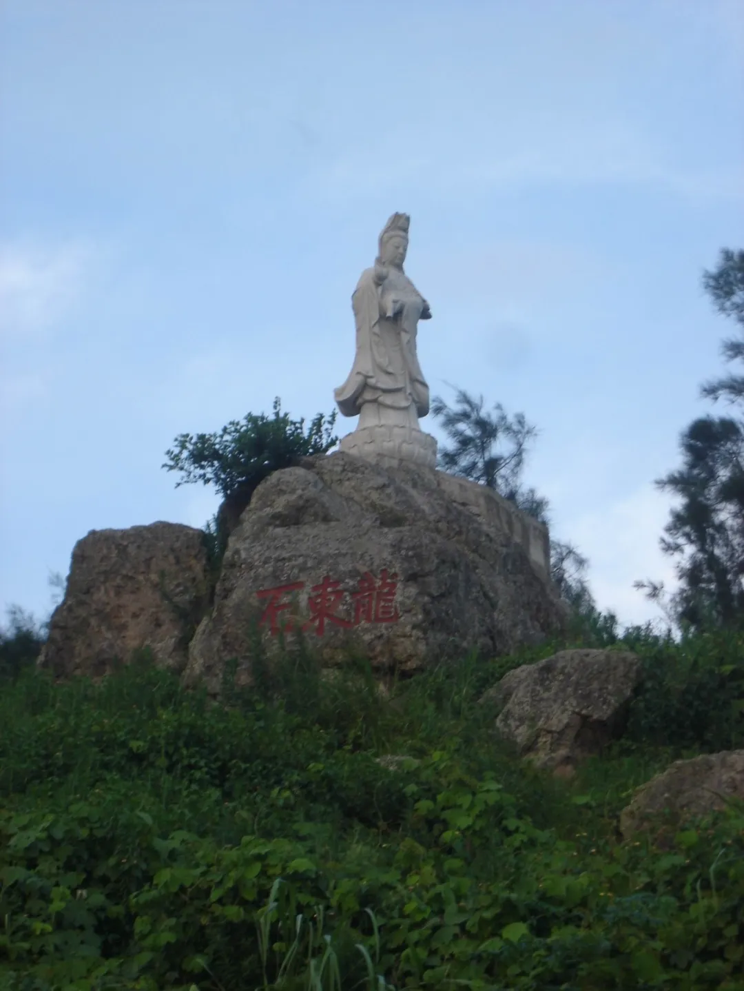 人居環(huán)境大提升 “美麗梅花”入畫來