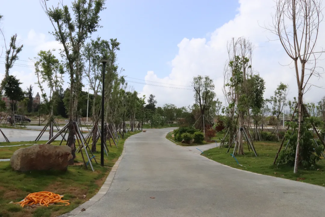 好消息,！濱海新城體育公園即將建成,！