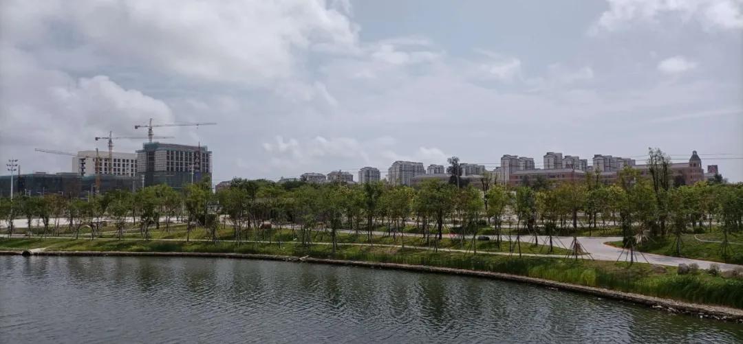 好消息,！濱海新城體育公園即將建成,！