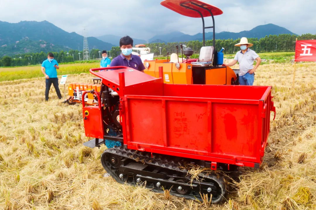 喜迎豐收節(jié),！新型農(nóng)業(yè)機械推廣到長樂田間地頭