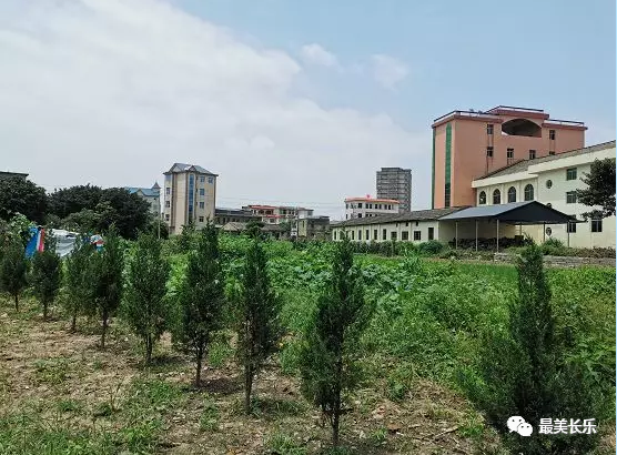 小漁港走上振興路 長樂漳港門樓村以漁農產業(yè)帶動鄉(xiāng)村旅游