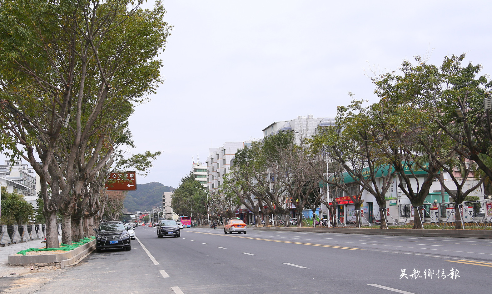 鄭和中路北側(cè)和愛心路主車道恢復(fù)通車