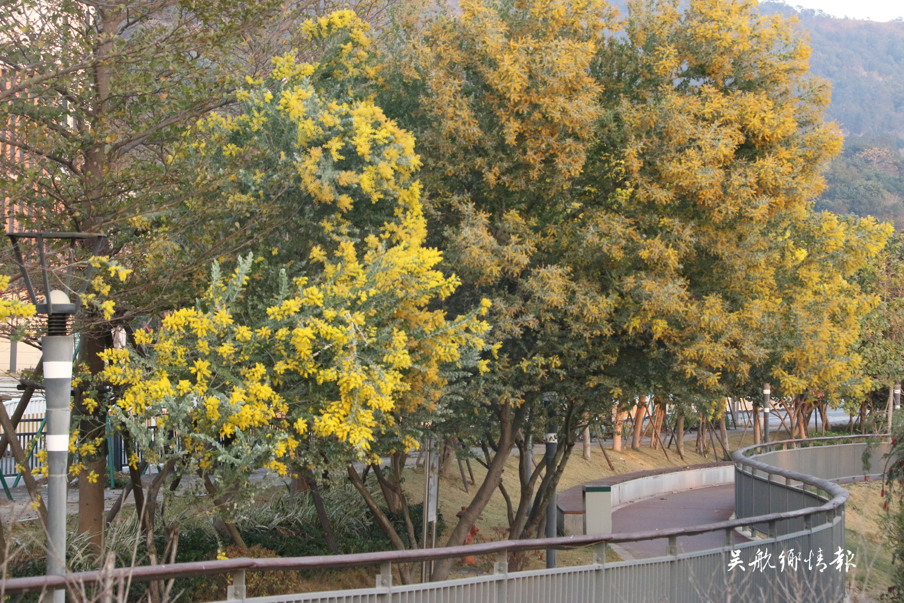  冬去千山醒 春來(lái)百花開(kāi)