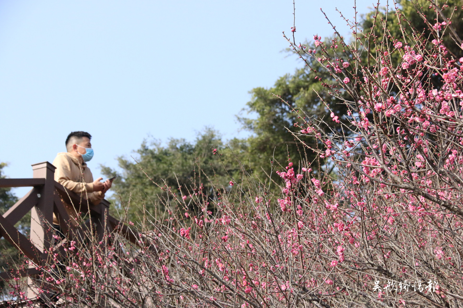  冬去千山醒 春來(lái)百花開(kāi)