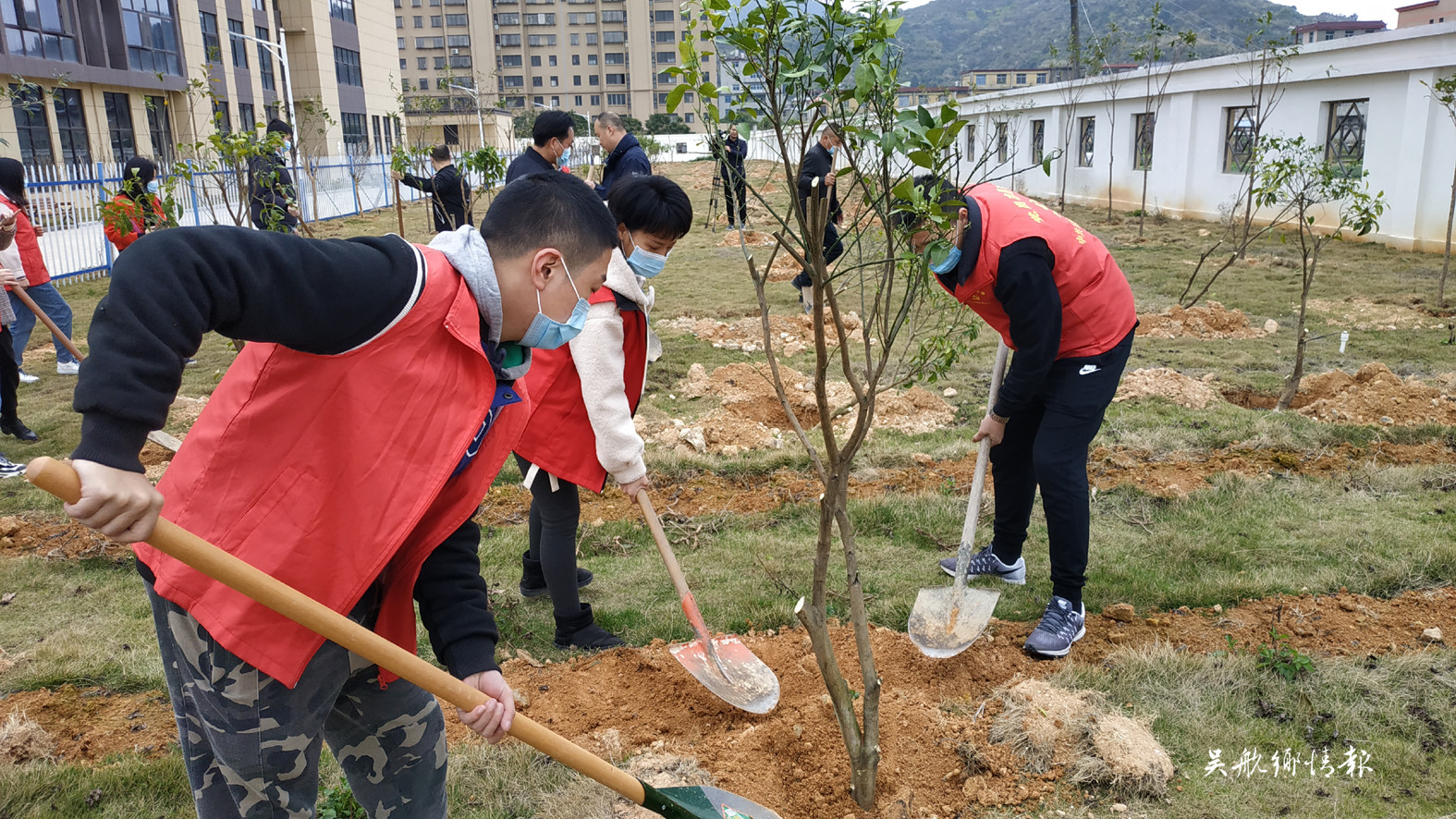 人勤春早植樹忙 吳航大地添新綠