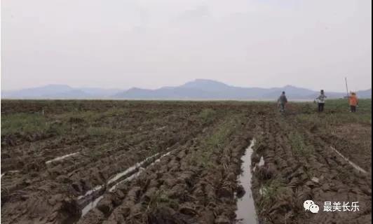 厲害！閩江河口濕地亮相世界遺產(chǎn)青年論壇