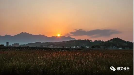 厲害,！閩江河口濕地亮相世界遺產(chǎn)青年論壇