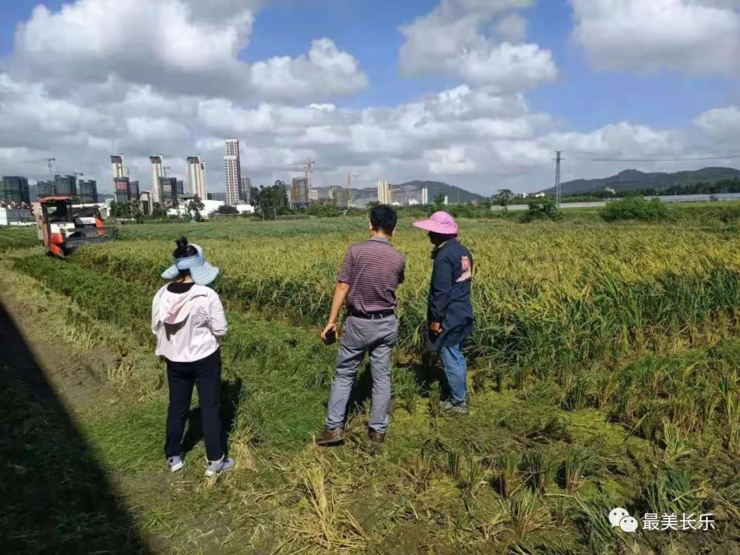 長樂：5900多名干部堅守 筑起抵御風雨“鋼鐵防線”