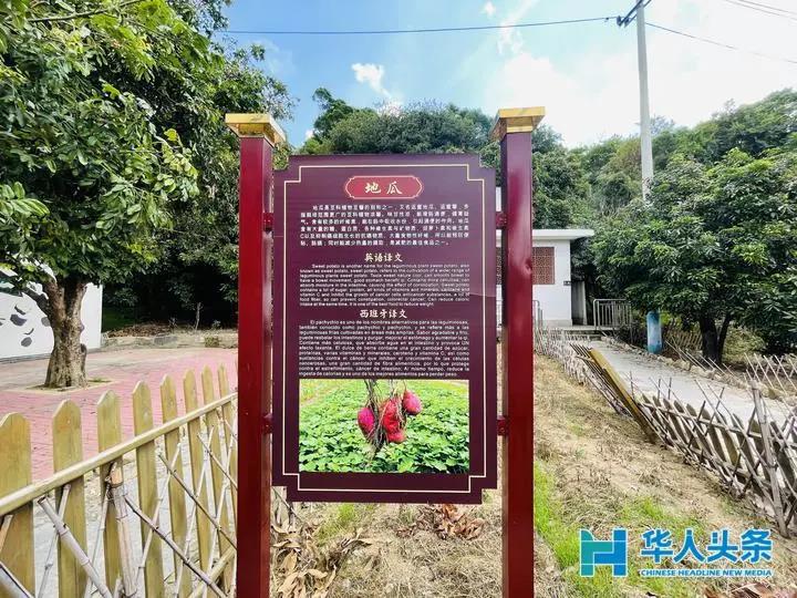 嶼北村：“一村十園”綠色生態(tài)景,，道不盡殷殷桑梓情