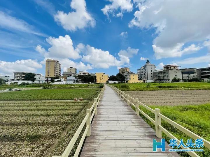 嶼北村：“一村十園”綠色生態(tài)景,，道不盡殷殷桑梓情