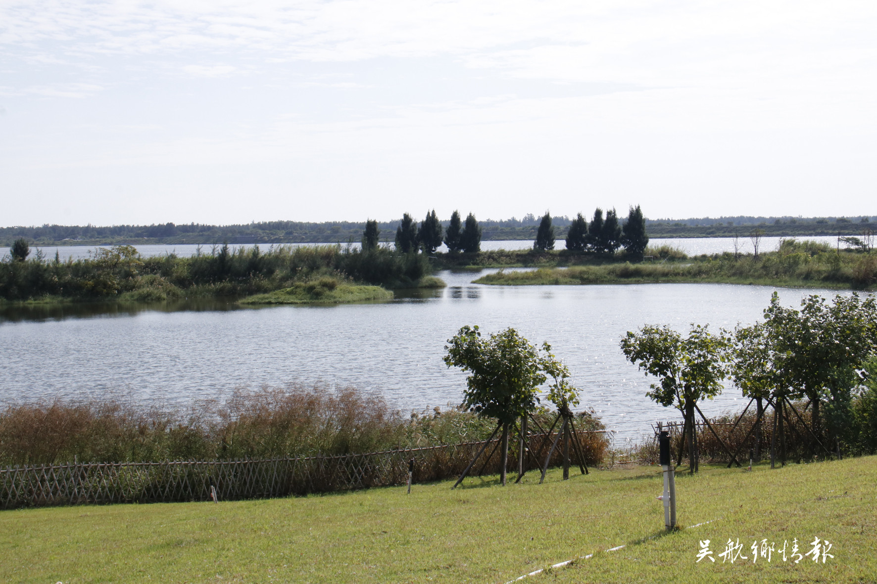 東湖濕地公園盡顯生態(tài)之美