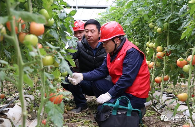 貼心,！上門(mén)送服務(wù)，保障農(nóng)業(yè)用電,！