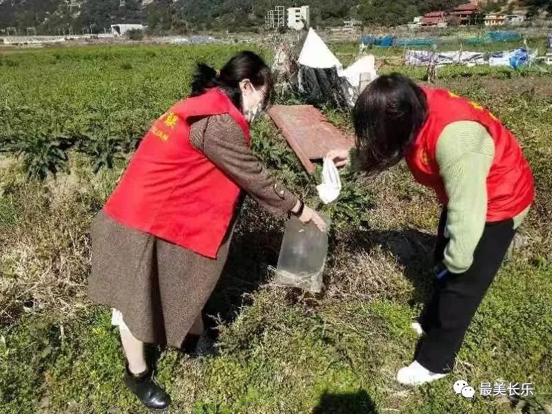 1100余人次,，回收近630公斤,！我區(qū)田園清潔行動讓田園更美麗