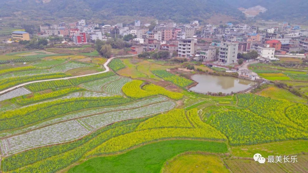 釋放治水“紅利”,！長樂這個“后花園”越來越美,！