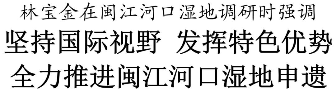 全力推進(jìn)閩江河口濕地申遺,！福州市委書記林寶金現(xiàn)場調(diào)研