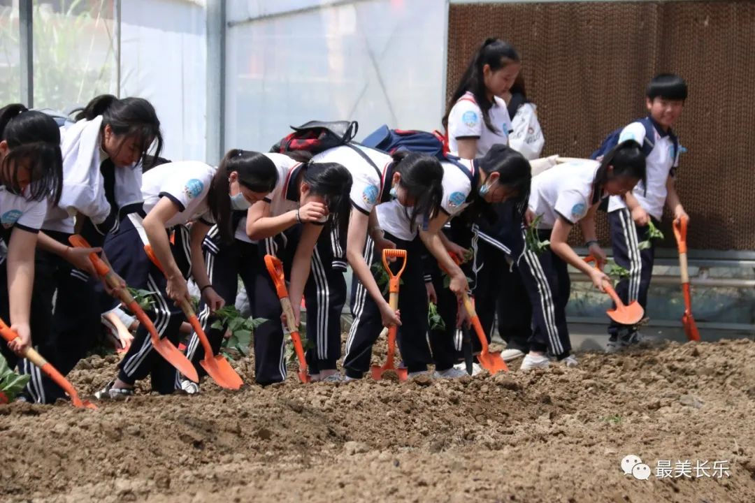 種地瓜、挖土豆......長樂這個(gè)研學(xué)基地把勞動(dòng)課堂搬進(jìn)地里