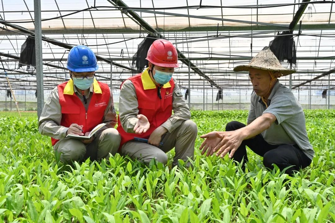 砥礪十年，他們點亮的不僅是萬家燈火,，還有……