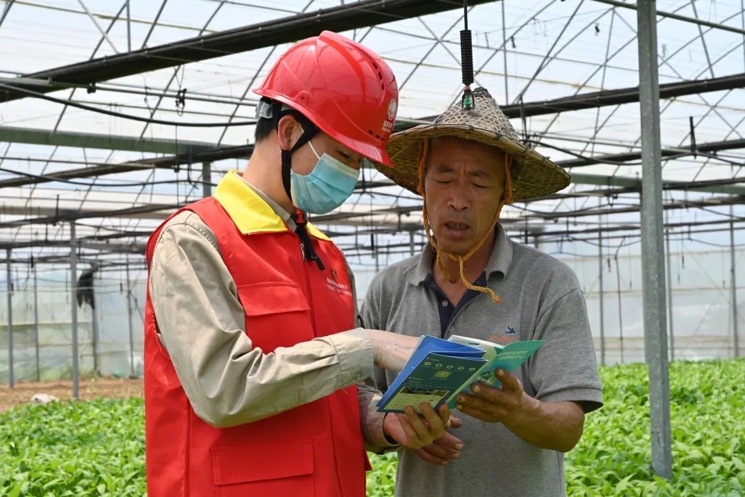 砥礪十年，他們點亮的不僅是萬家燈火,，還有……