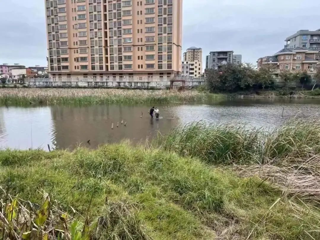 驚險,！女子跳湖輕生！危機時刻……