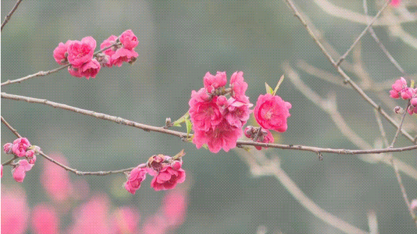 “花花世界”！你想要的都在這里,！
