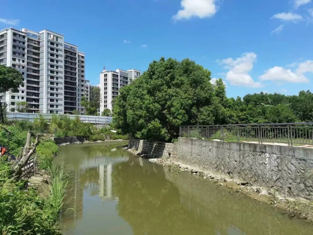 民聲零距離 || 小事不“小視” “堵心河”變“舒心河”