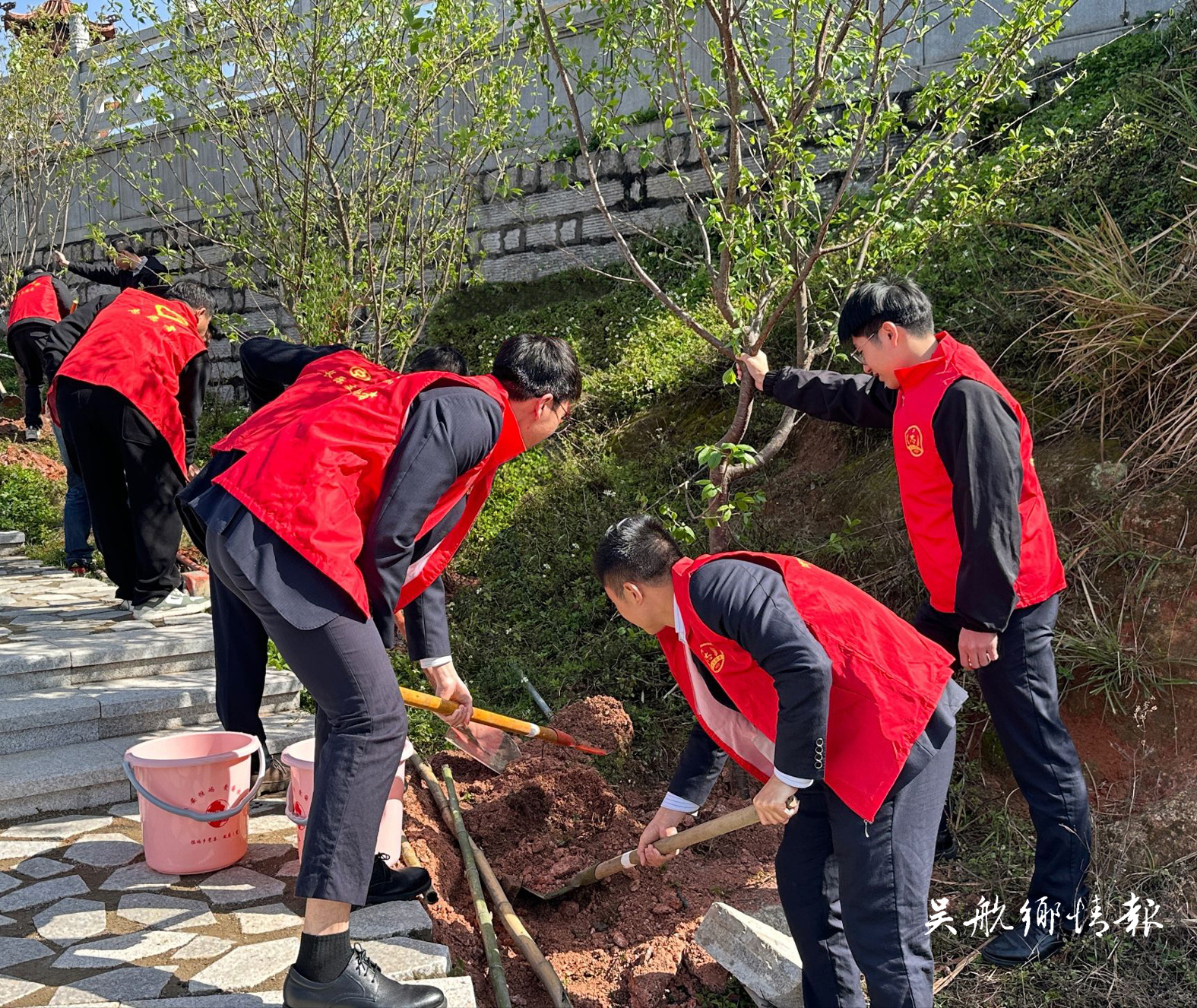 不負(fù)春光添新綠 全民植樹熱情高