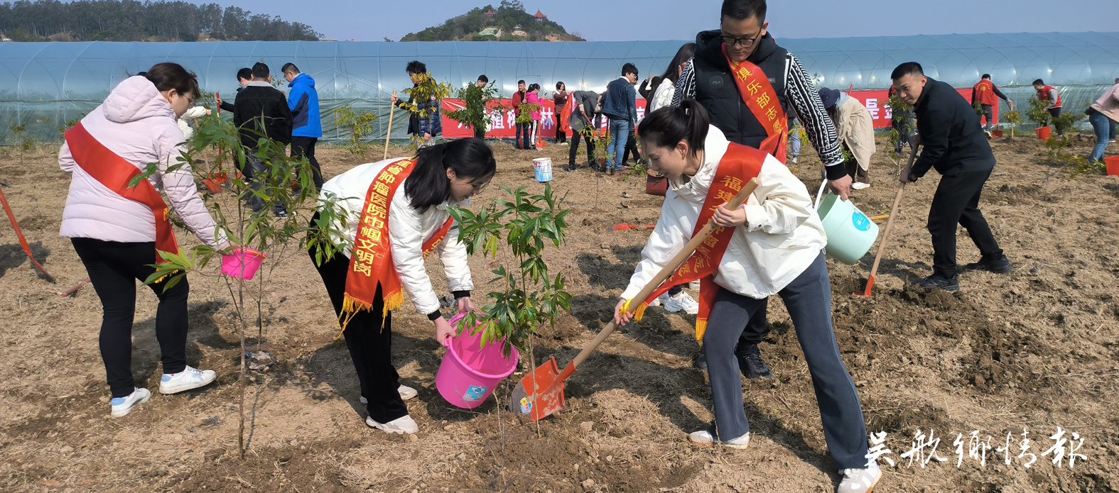 不負(fù)春光添新綠 全民植樹熱情高