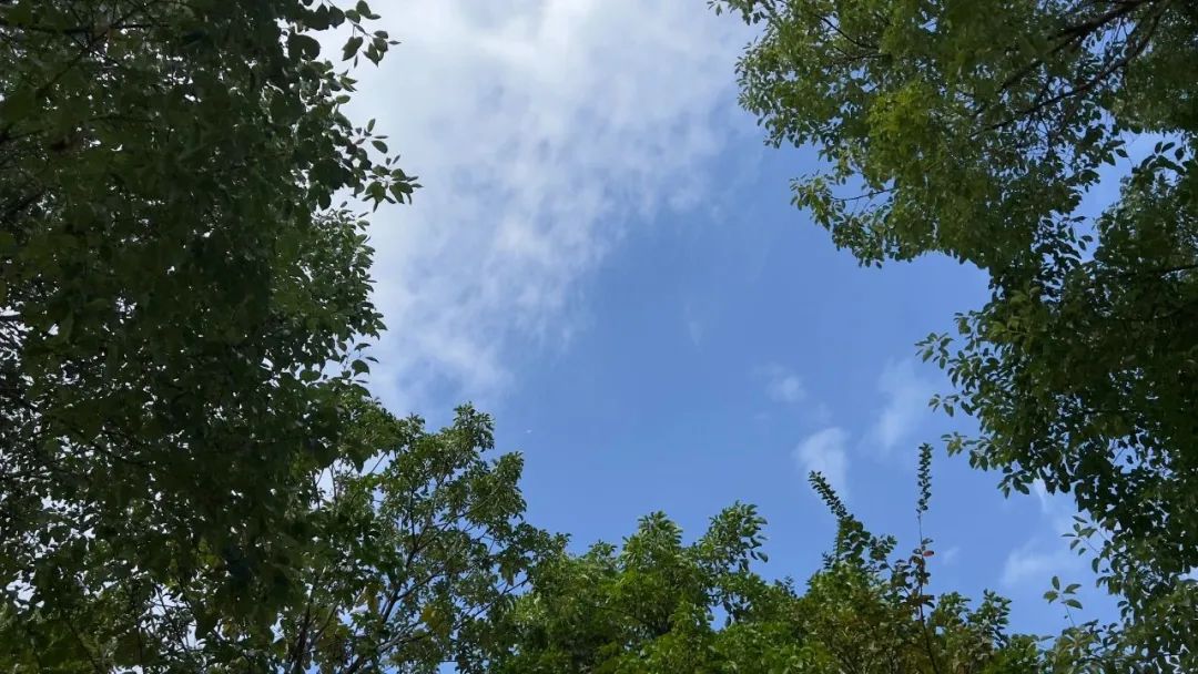 今天，長樂又要下雨了,！升溫就在→