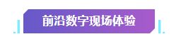 免費參觀,！超震撼！近100萬個積木顆粒,，耗費近7000個小時……